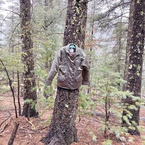 Vintage Metallic Coat